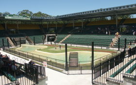 The Australia Zoo Crocoseum and Stands